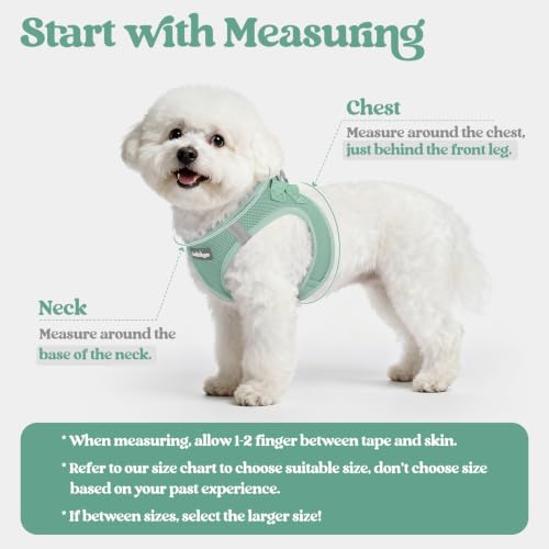 Dog Harness Small Sized and Leash Set (Moss Green / S (chest: 15.1 - 16.5"))