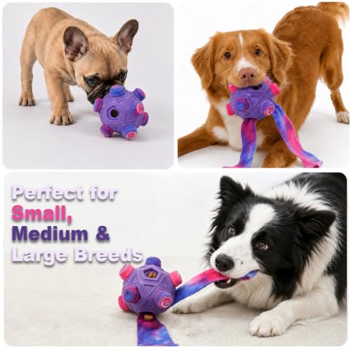 Dog Snuffle Ball (violet)