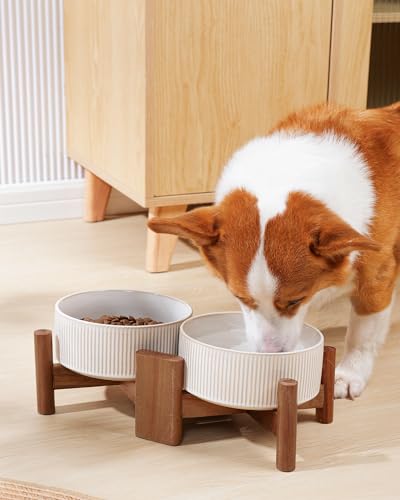 Ceramic Dog Bowls Set with Acacia Wood Stand (Large-3.5Cups / Vintage White)