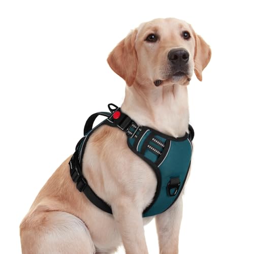 Large Dog Harness (Medium / Green)