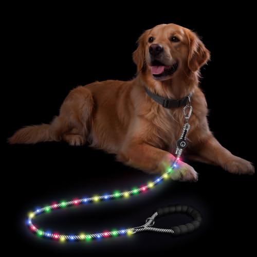 5FT Light up Dog Leash