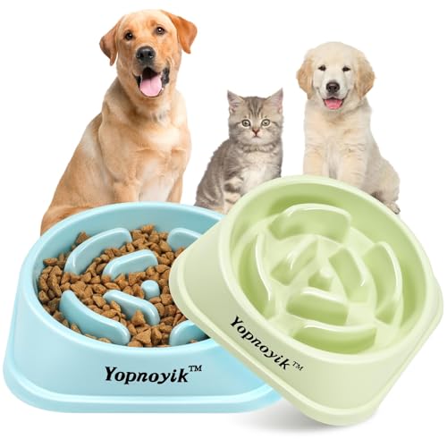 2 Pack Slow Feeder Dog Bowls for Medium Dogs & Cats (Medium / Green and Light Blue)