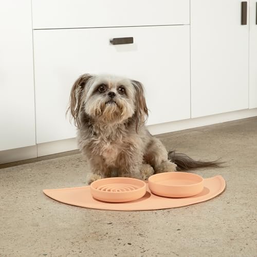 Slow Feeder Dog Bowl (Blush - Rainbow Design / Small (6” Across x 1.25” Tall))