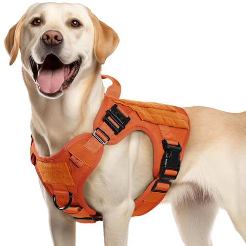 Tactical Dog Harness for Medium (Orange / Medium)
