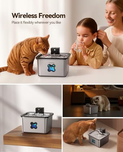 Cordless Cat Water Fountain