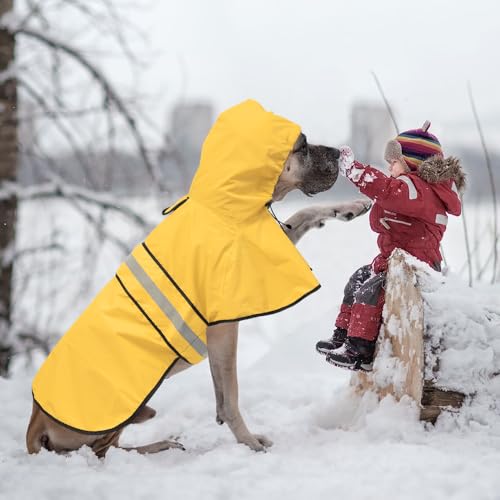 Raincoat Dogs (Yellow / Small)