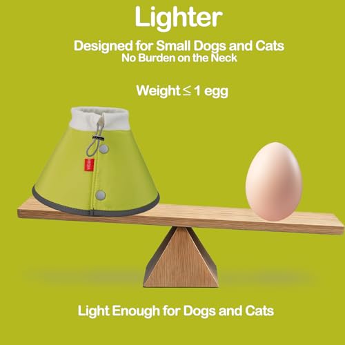 Soft Dog Cone for Small Dogs & Cats (Green / (Neck:6.5"-8.5"))