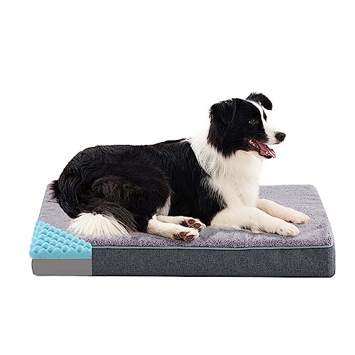 Orthopedic Memory Foam Dog Bed (Purple Grey / Medium-29"x 18" x 3")