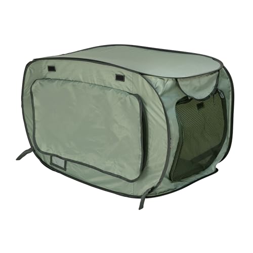 Soft Sided Pop (Green)