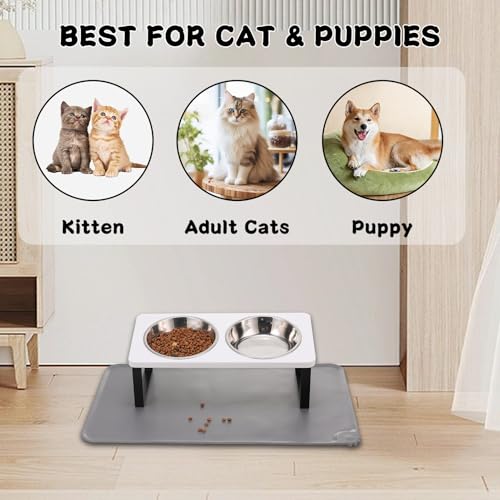 Upgraded Elevated Cat Bowls with Food Mat