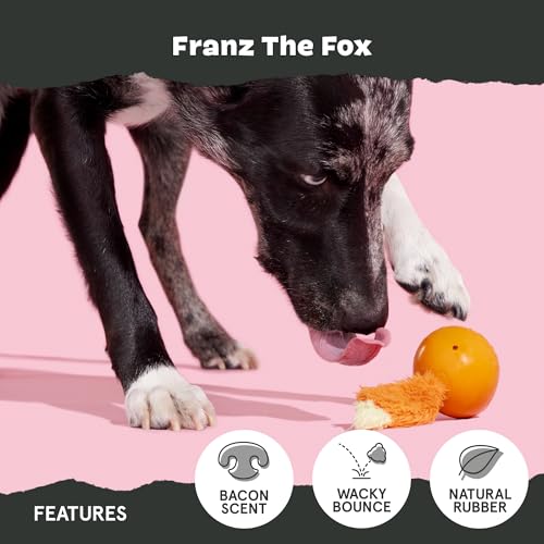 Franz The Fox Dog Toy (Franz the Fox-Medium)