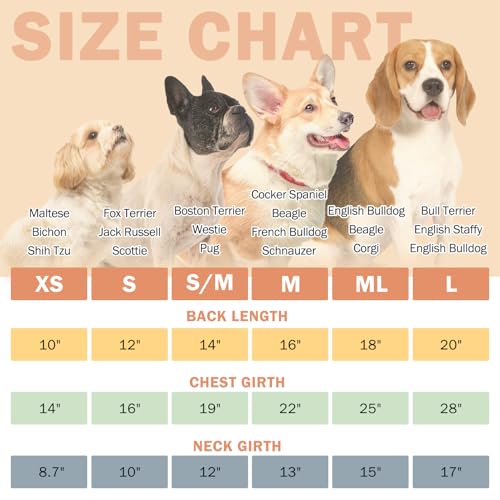 Fleece Dog Sweaters Hoodie for Small Medium Large Dogs Girls Boys (X-Small / Green)