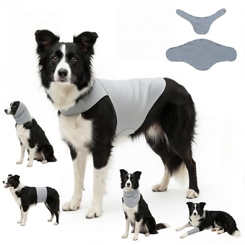 Dog & Cat Surgery Recovery Suit and Anxiety Wrap (L / Gray)