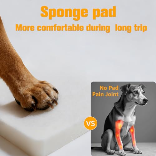 Dog Car Seat Cover for Back Seat (gray / L - 50.5"W x 60.5"L - Car/SUV)