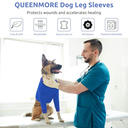 Large Recovery Suit for Dogs (XX-Large / Blue)