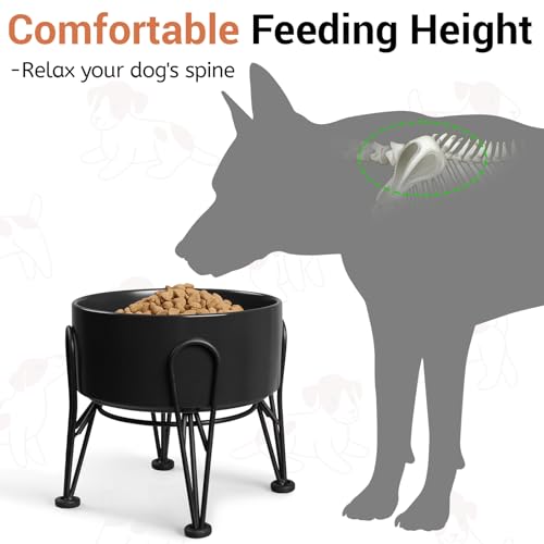 Elevated Dog Bowls (Black / 3.6 Cups | 2 Pack | For Medium Dogs)