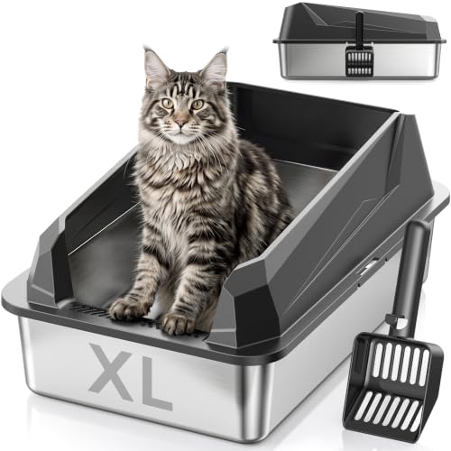 XL Cat Litter Box (Dark Gray)