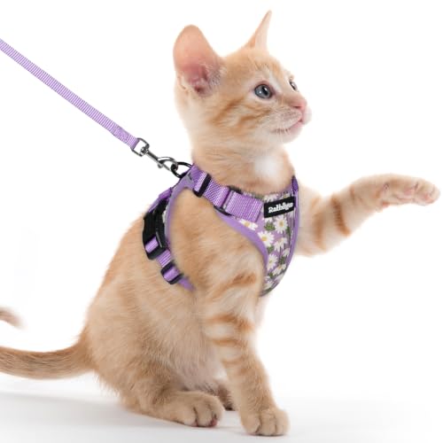 Cat Harness and Leash Set (Xxs / Purr-ple Daisy)