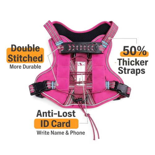 Dog Harness and Leash Set for Medium Dogs (Rose Red / M)
