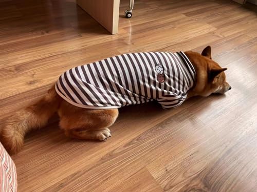 Turtleneck Dog Shirt Cute Doggie Embroidery Super Soft Dog Sweatshirt Stretchy Striped Puppy Pullover for Cats Small Medium Large Dogs (Brown Striped / XXXX-Large)