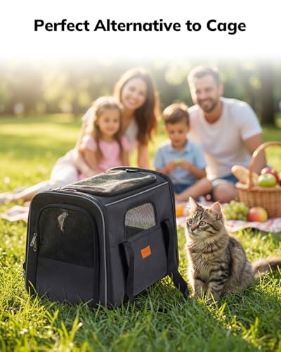 Cat Carrier Soft for Large Medium Cats and Puppy up to 20lbs (Dark Gray / 17.3"L x 12.2"W x 13.4"H)