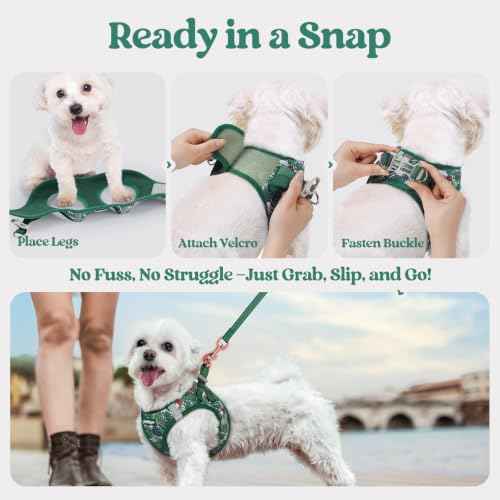 Dog Harness Medium Sized and Leash Set (Rainforest Green / M (chest: 16 - 18.5"))