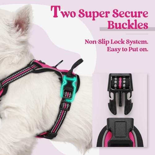 Dog Harness No Pull with 2 Leash Clips (X-Small / Hot Pink)
