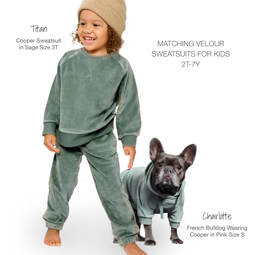 Cooper II Dog Hoodie (Sage / XX-Large (70-110 lbs))