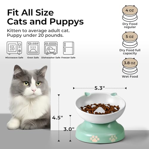 Slow Feeder Cat Bowl (Green)