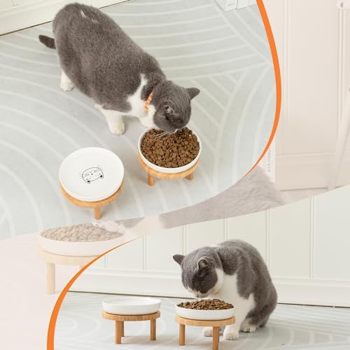 Shallow Wide Elevated Cat Bowls Whisker Fatigue (Blue)