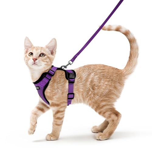Cat Harness and Leash Set (Xs / Purple)