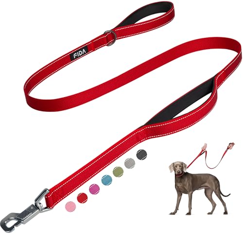 Heavy Duty Dog Leash for Medium Large Dogs (5 Feet (Pack of 1) / Red)