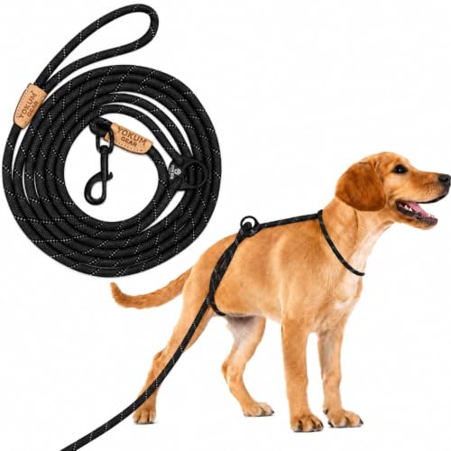 12ft No Pull No Choke Leash Long Rope Dog Leash (12 Ft / BLACK)