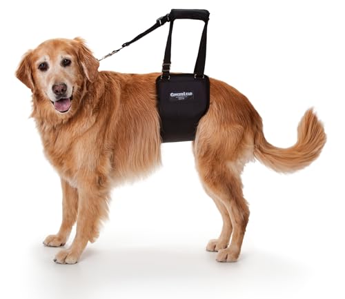 Dog Support Sling Rear Harness (Large - Female)