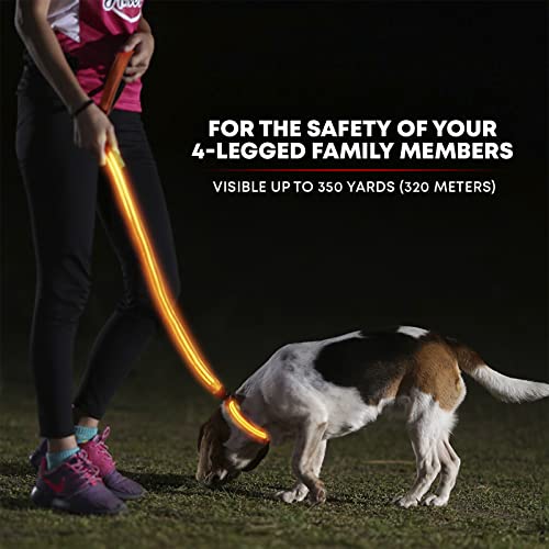 LED Light Up Dog Leash (4 Feet / Bright Orange)