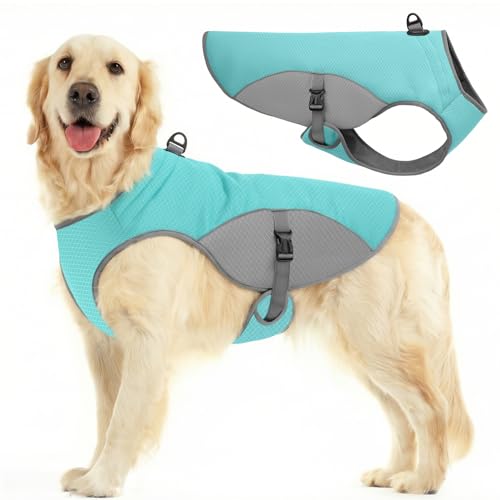 Cooling Vest for Extra (Blue / XXX-Large)