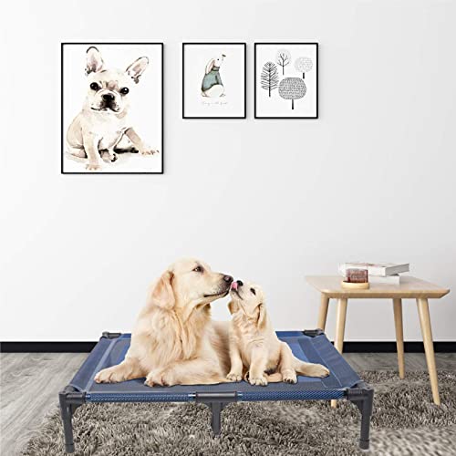 Elevated Dog Bed Waterproof Outdoor (M (30"Lx 23"Wx6.3"H) / Blue)