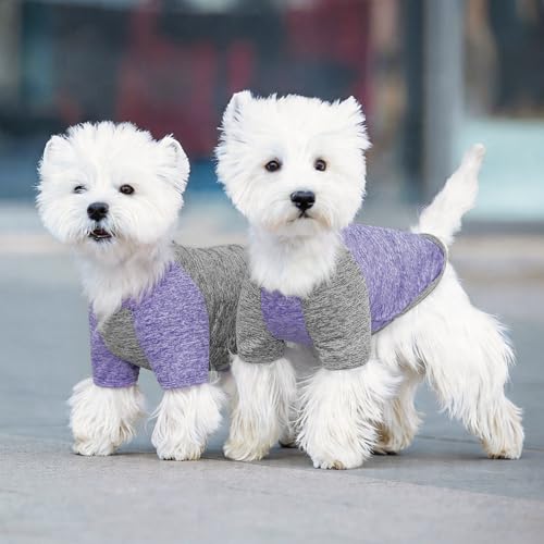2Pack Dog Shirt for Small Dogs Sun Protection Tank Top with Sleeves (Large (13-19lbs) / 4# 2Pack(Purple+Grey))