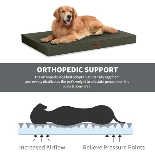 Orthopedic Waterproof Dog Bed for Small Dogs and Cats (Brown / 29.0"L x 18.0"W x 3.0"Th)