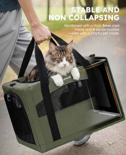 Cat Carrier Stable (Green / 19.6"L x 14.9"W x 13.7"H)