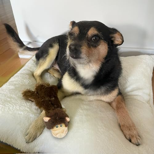 2-in-1 Stuffless Squeaky Dog Toy - Monkey&Squirrel, Small (Multicolor/Monkey & Squirrel / Small)
