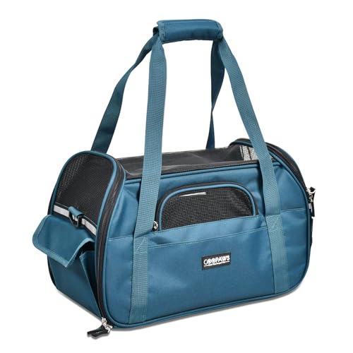 Soft Sided Airline (19.0"L x 10.0"W x 13.0"H / Teal Blue)