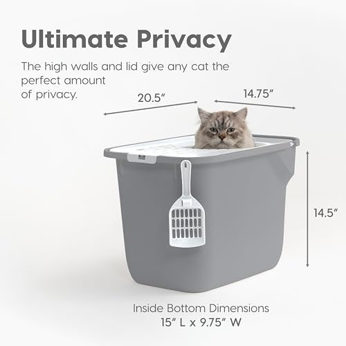 Cat Litter Box (Top Entry / Gray)