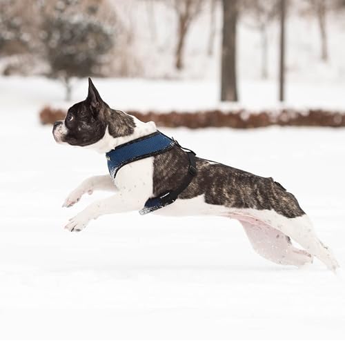 Soft Dog Harness No Choke Over (Royal Blue / Medium)