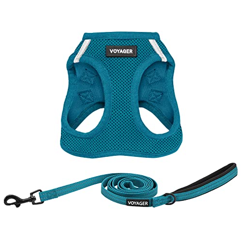 Voyager Step in Air All Weather Mesh Harness and Reflective Dog 5ft Leash Combo with Neoprene Handle (Harness Leash Set (Turquoise) / L (Chest: 18 - 20.5"))