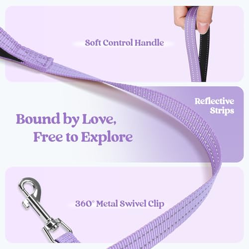 Dog Harness Medium Sized and Leash Set (Lavender Floral / M (chest: 16 - 18.5"))