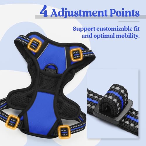 Dog Harness No Pull for Small Dogs with 2 Leash Clips (X-Small / Dazzling Blue)