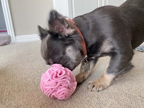 Puppy Small Breed Snuffle Dog Puzzle Ball Toy Pink Extra Small (Pink / Extra Small)