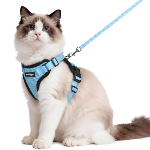 Cat Harness and Leash Set (M / Light Blue)