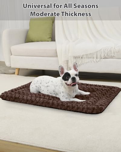Washable Dog Bed Mat Large Size Fluffy Pet Crate Pad 42x28 XL (Brown / 42.00" x 28.00" x 1.50")